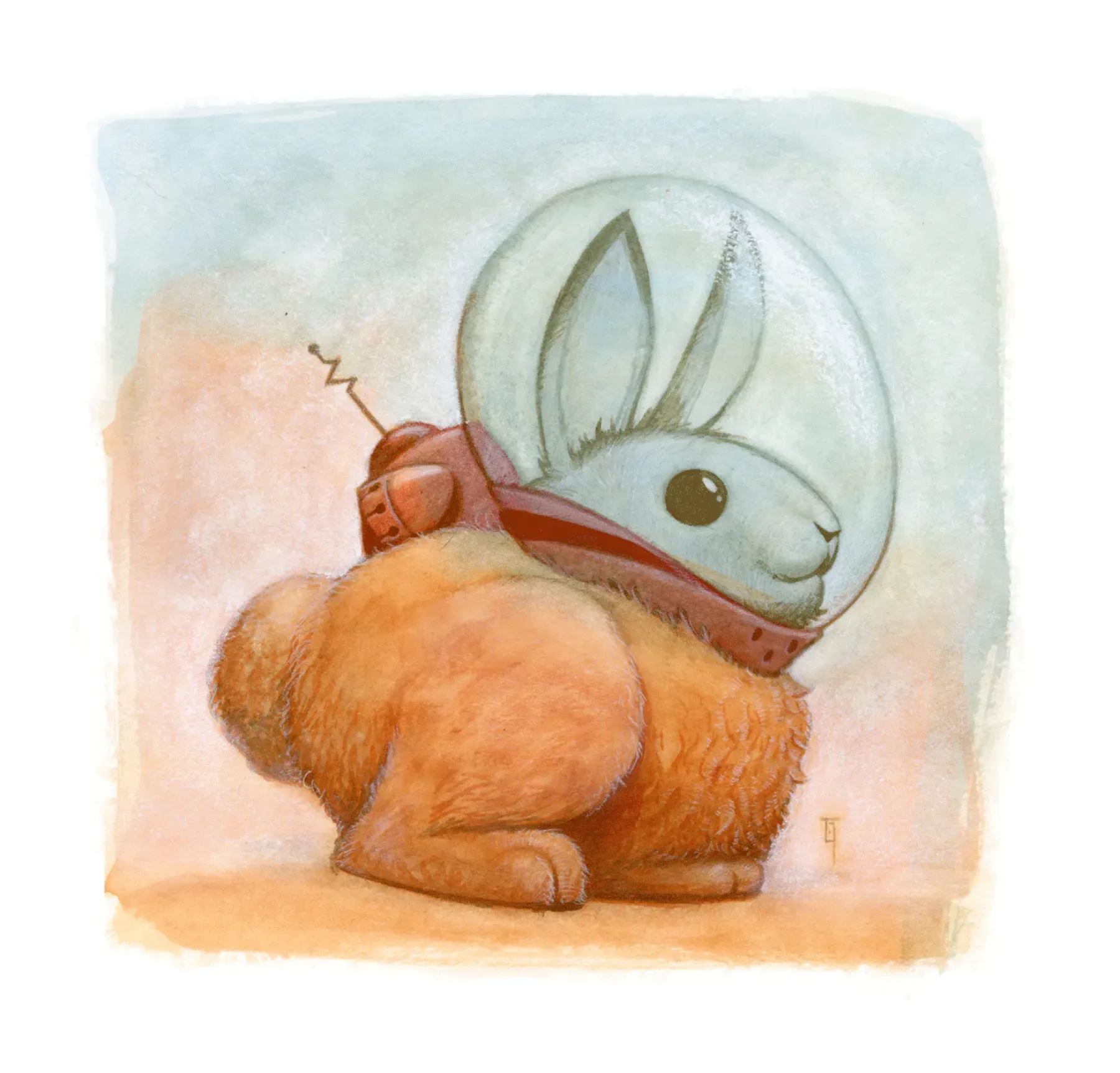 SpaceRabbit